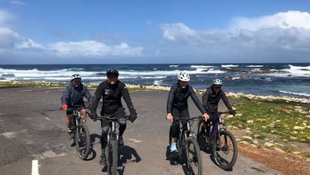 Visite en vélo électrique du parc national de Cape Point